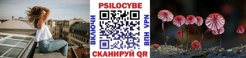 Галлюциногенные грибы Cubensis  Купить где  Казань 